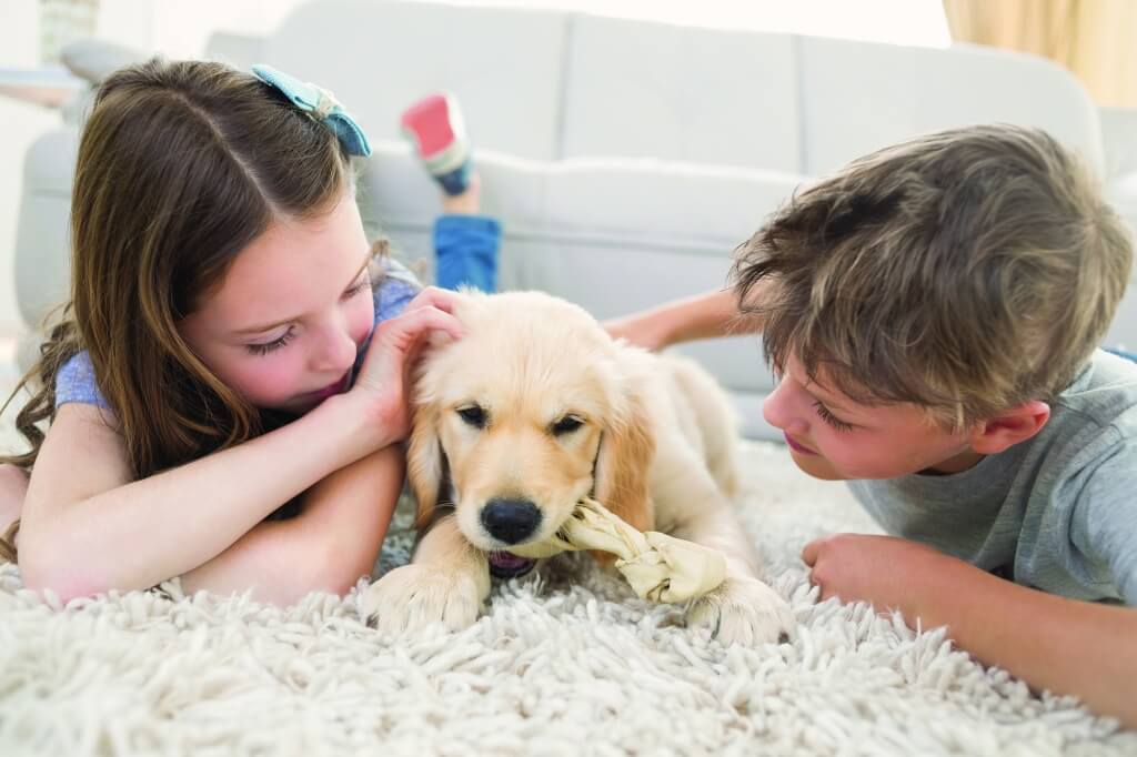 Siblings lying on rug with pet dog