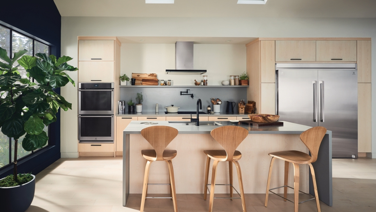 The 5 Best Indoor Plants for Your Kitchen Warners' Stellian